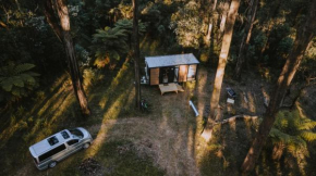 Quantum Field by Tiny Away Toolangi